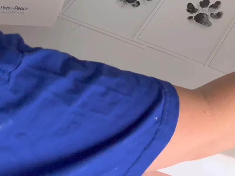 Unboxing/testimonial - pet memorial products