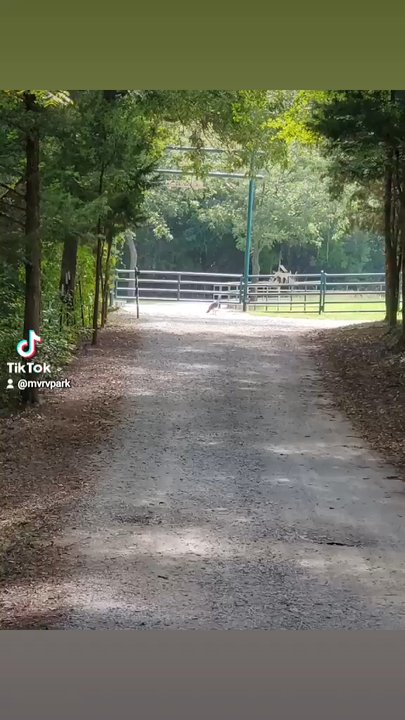 Mimosa Valley RV Park - RV Parks Near Me - Decatur, Texas