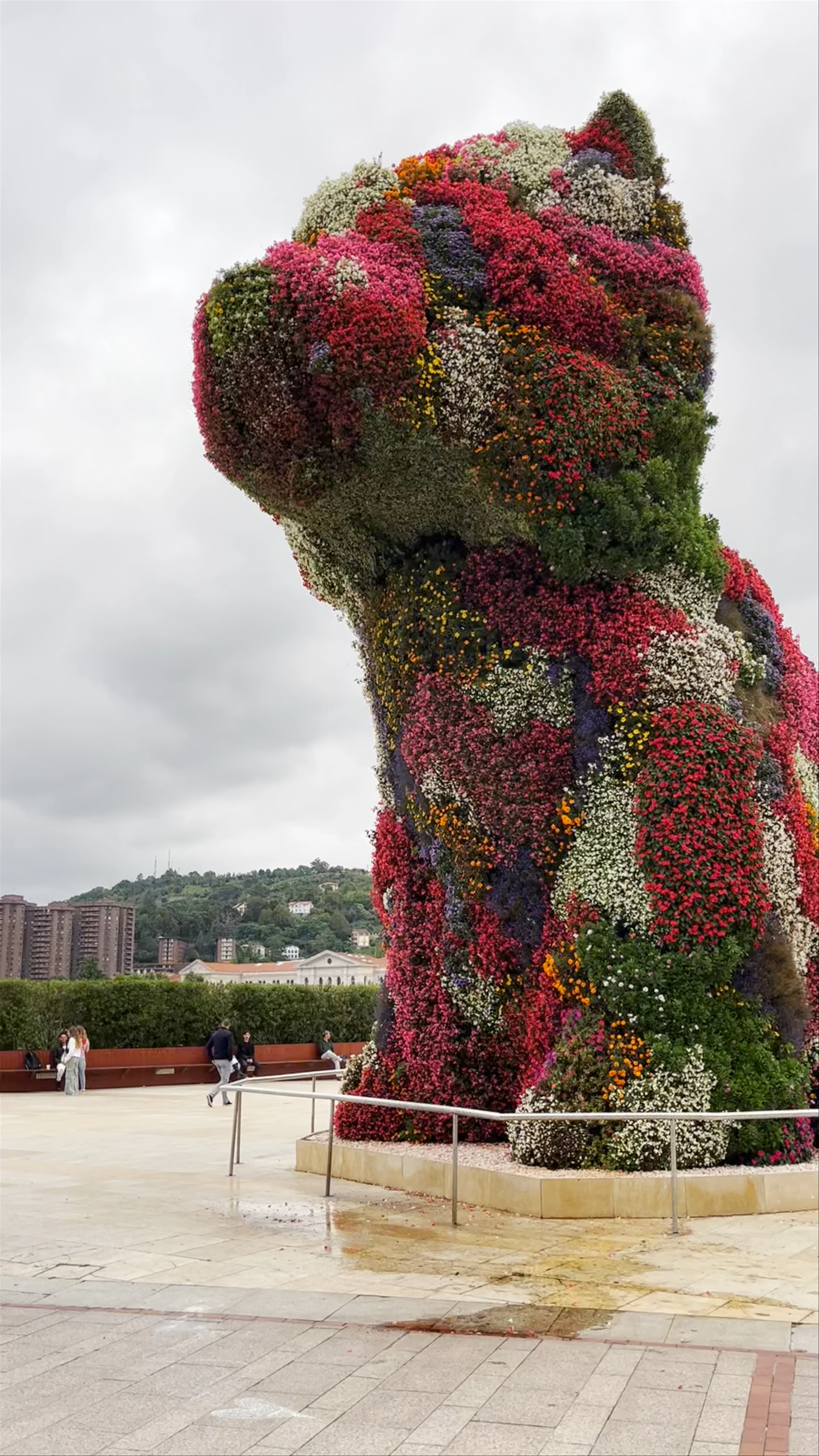 Puppy, Mazarredo Zumarkalea, Bilbao, Spain