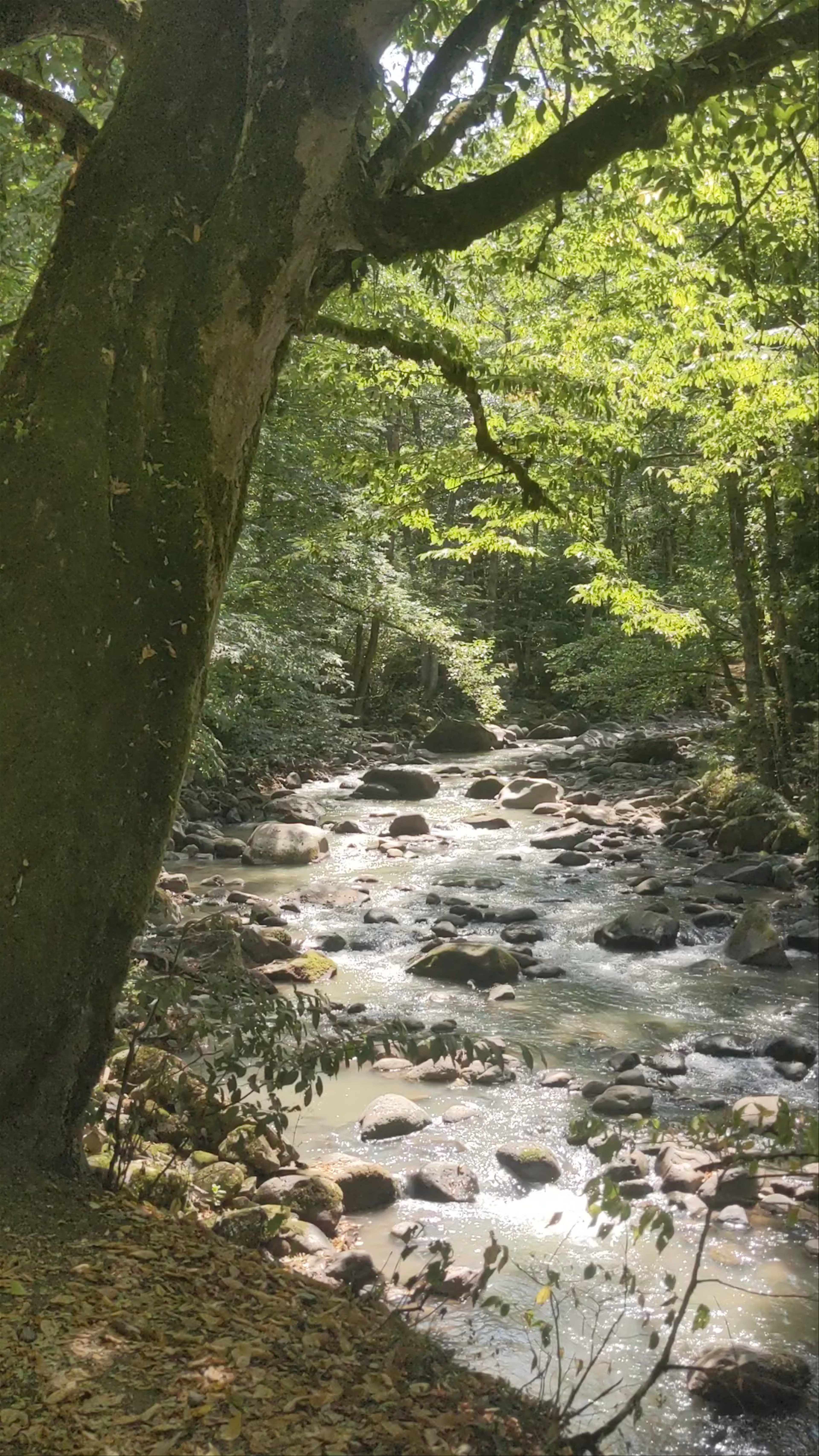 Borjomi Sulfur Pools