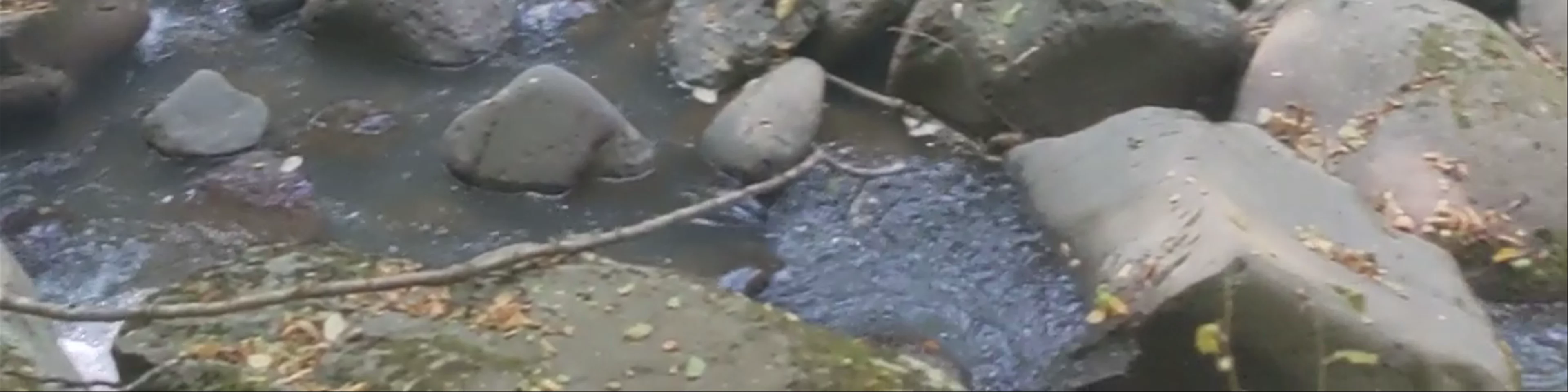 Borjomi Sulfur Pools