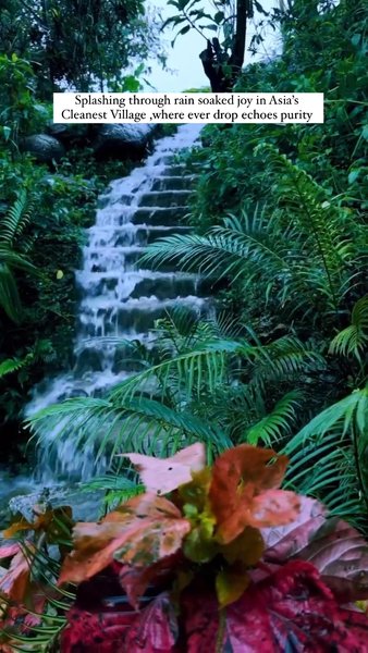 Photo of A rainy day at Asia'