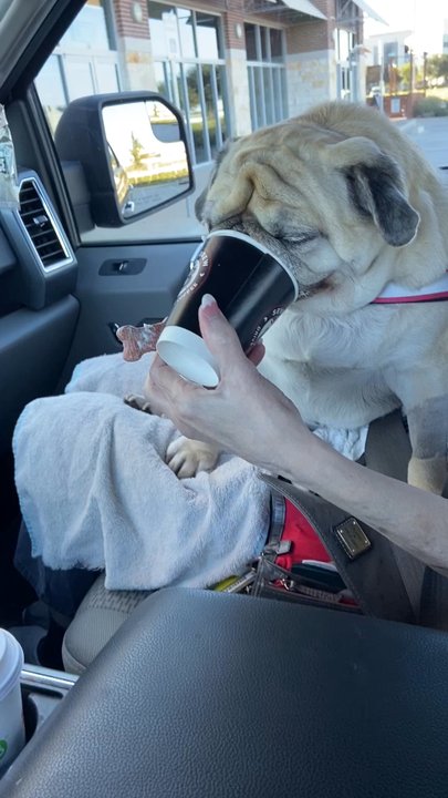 7 Brew Coffee - Coffee & Tea Near Me - Grand Prairie, Texas