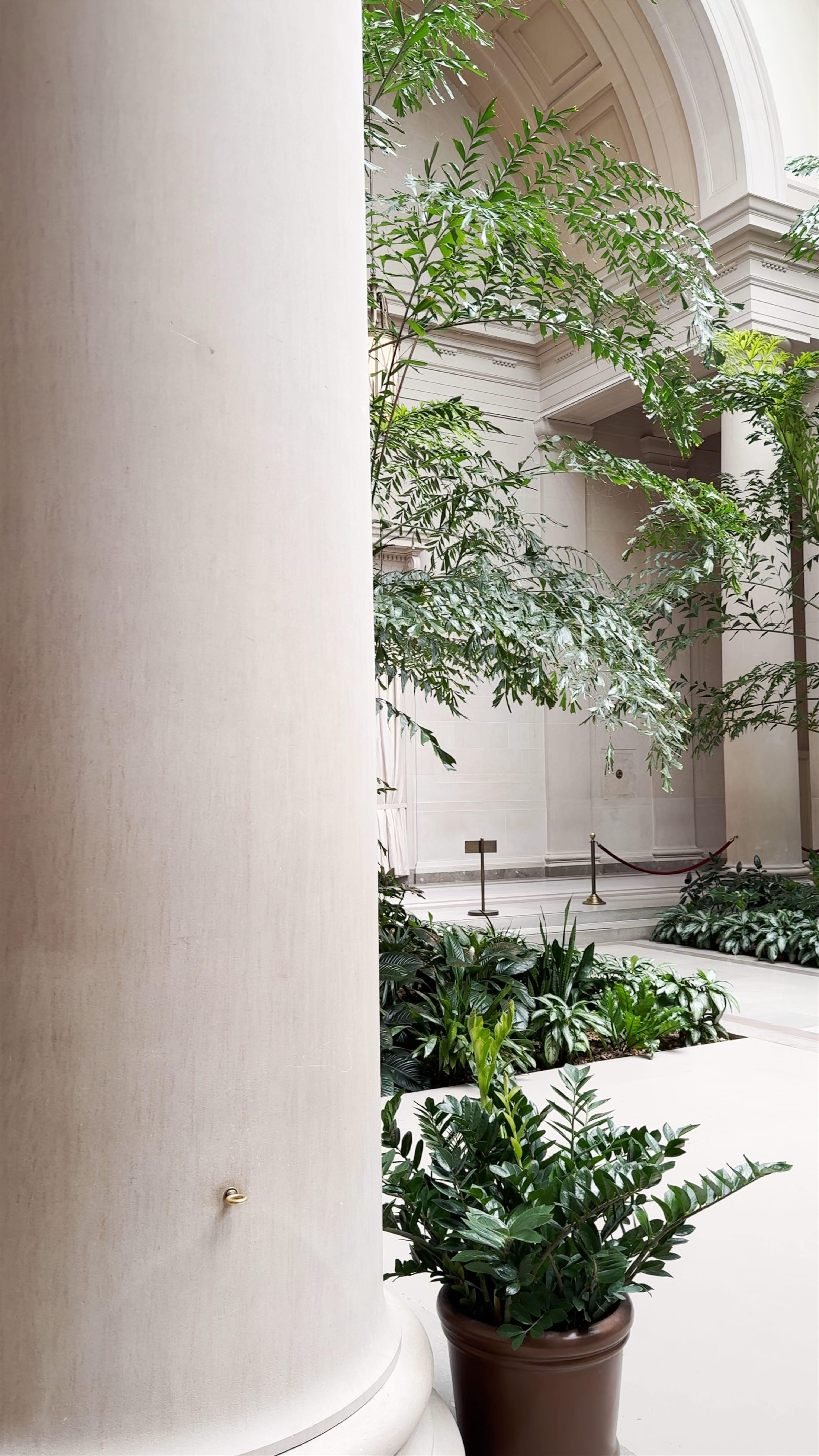 National Gallery of Art: Tranquil Indoor Garden Oasis in Washington, DC