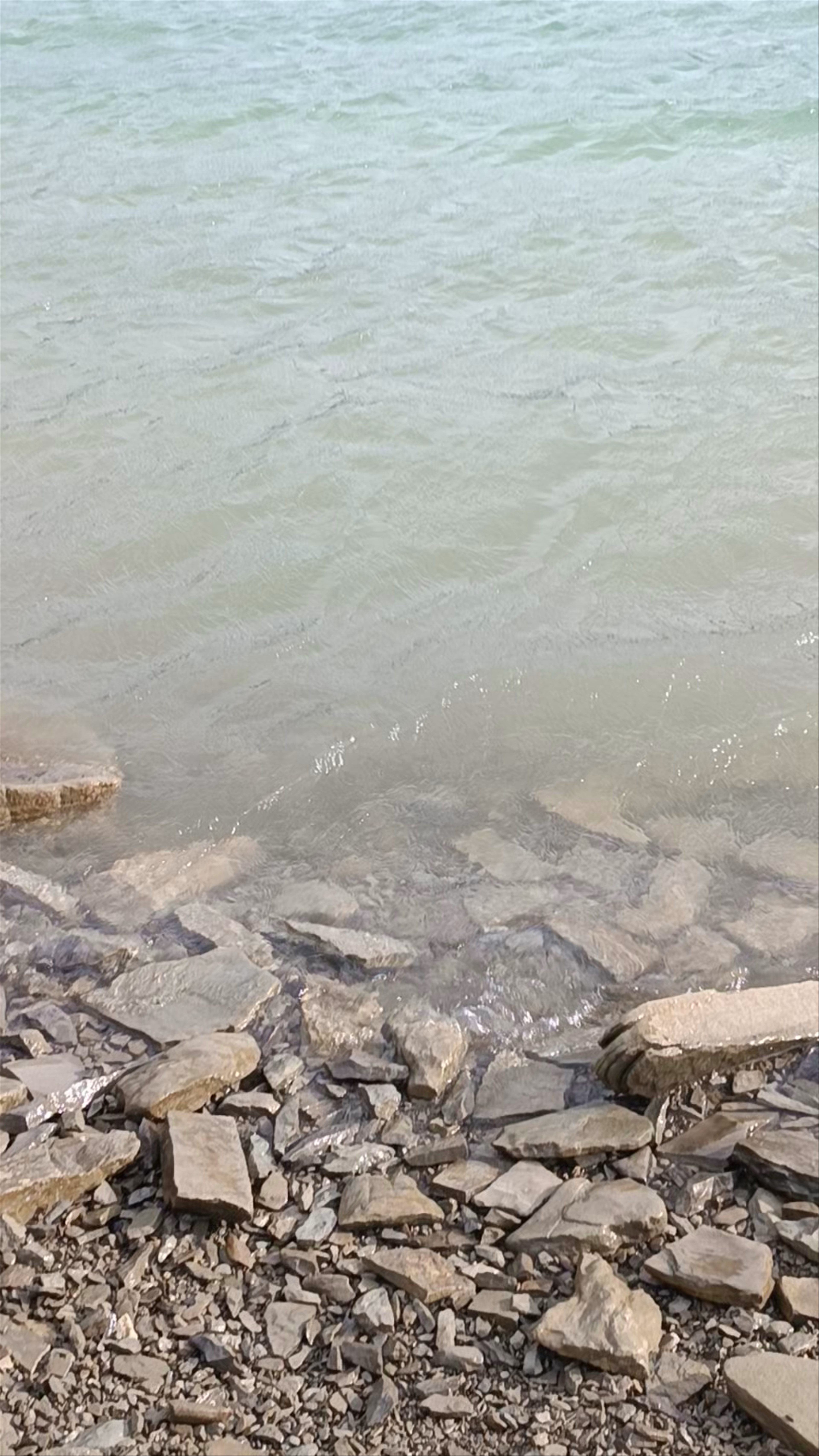 Battello Lago di Ridracoli