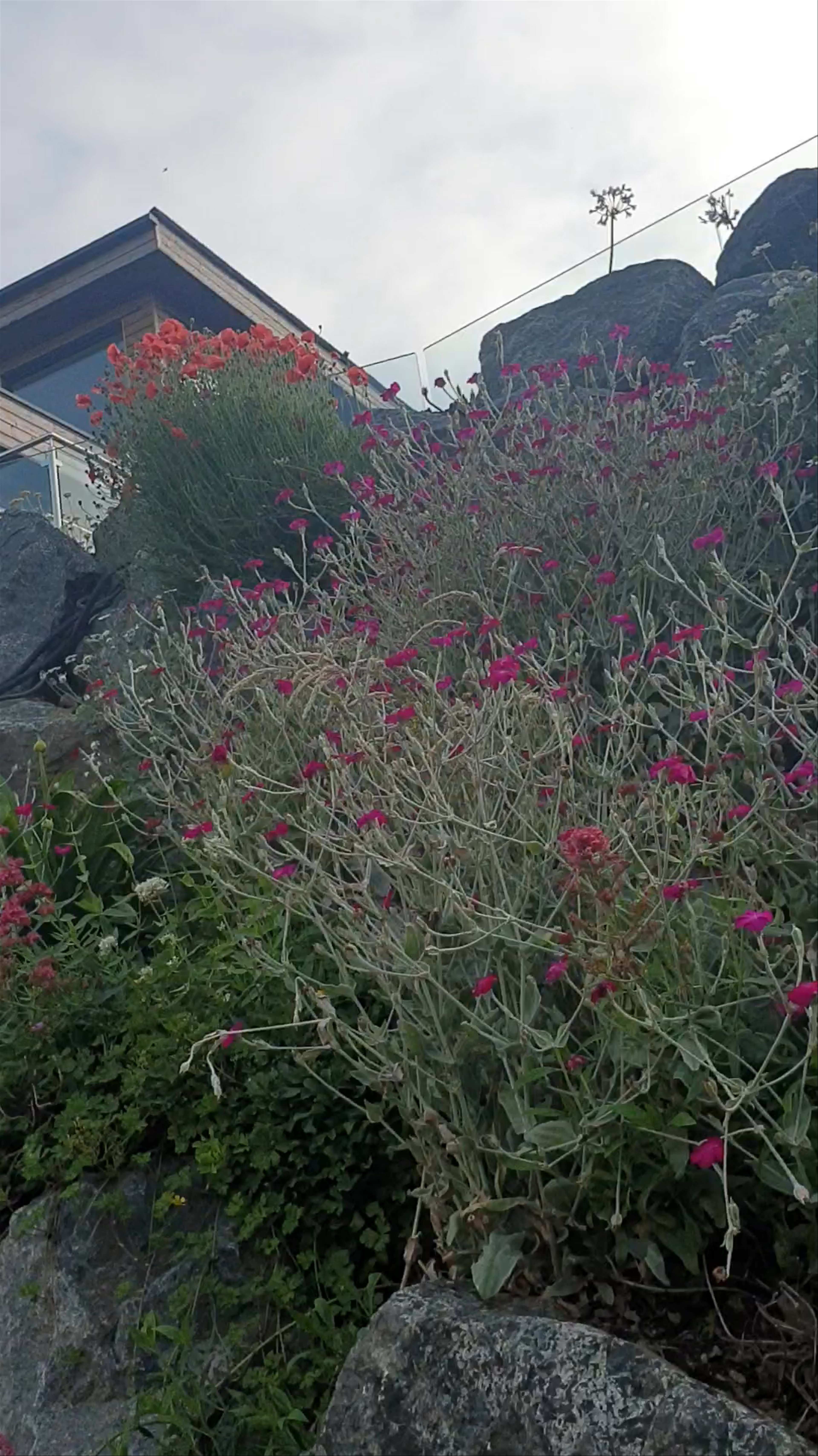 Carbis Bay Hotel & Estate