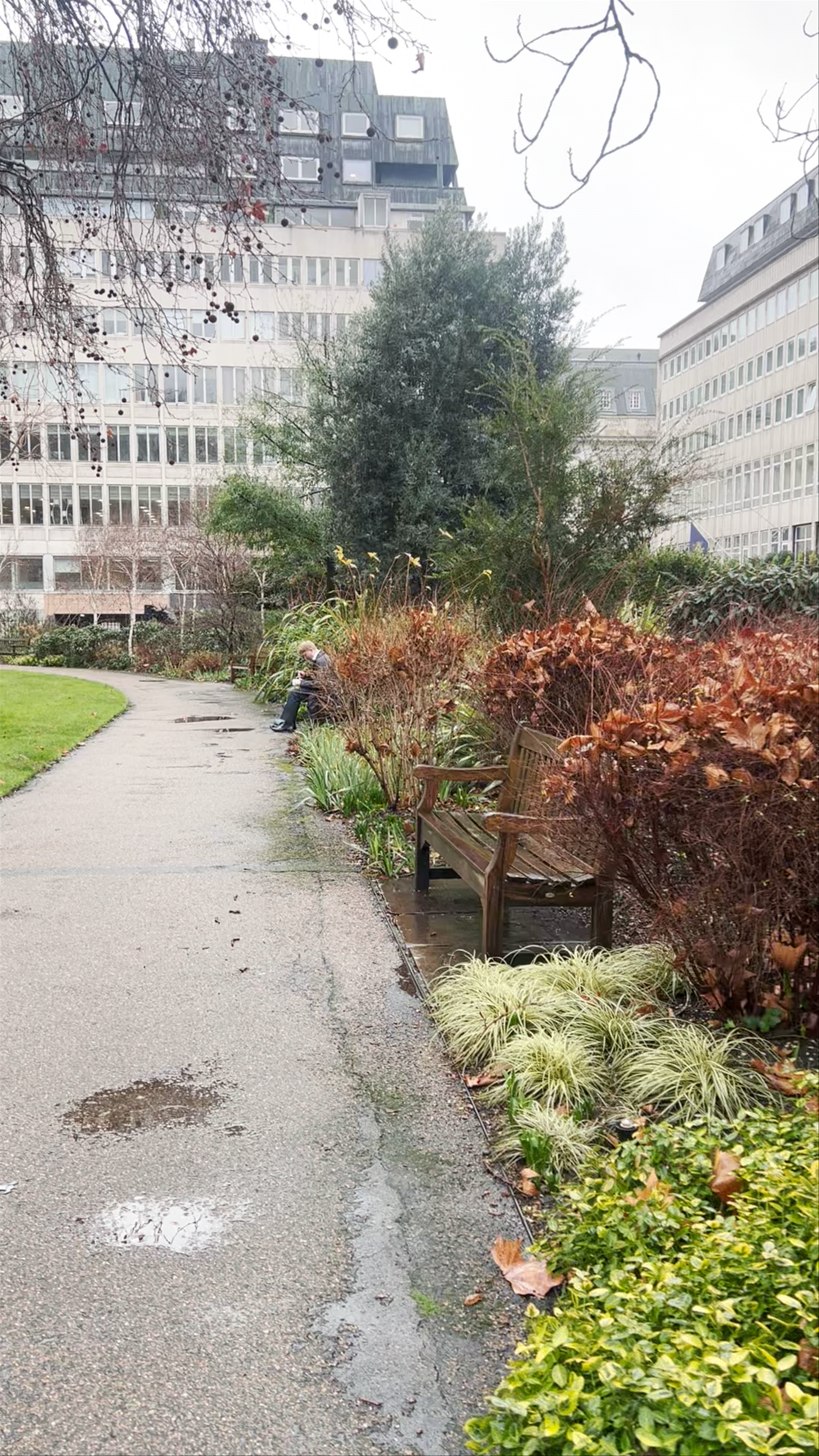 St. James Square: A Quiet Winter Stroll in London