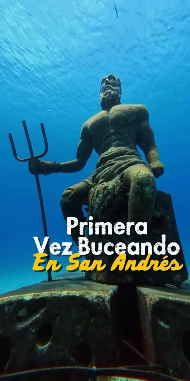 Contenido del creador