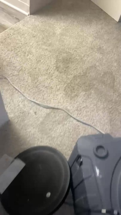 RENU Property Management - Water from rain on March 6, 2024. As of today (3/8) they still haven't come out to remedy the issue. How long does mold take to grow? - Property Management Near Me - Carmel, Indiana
