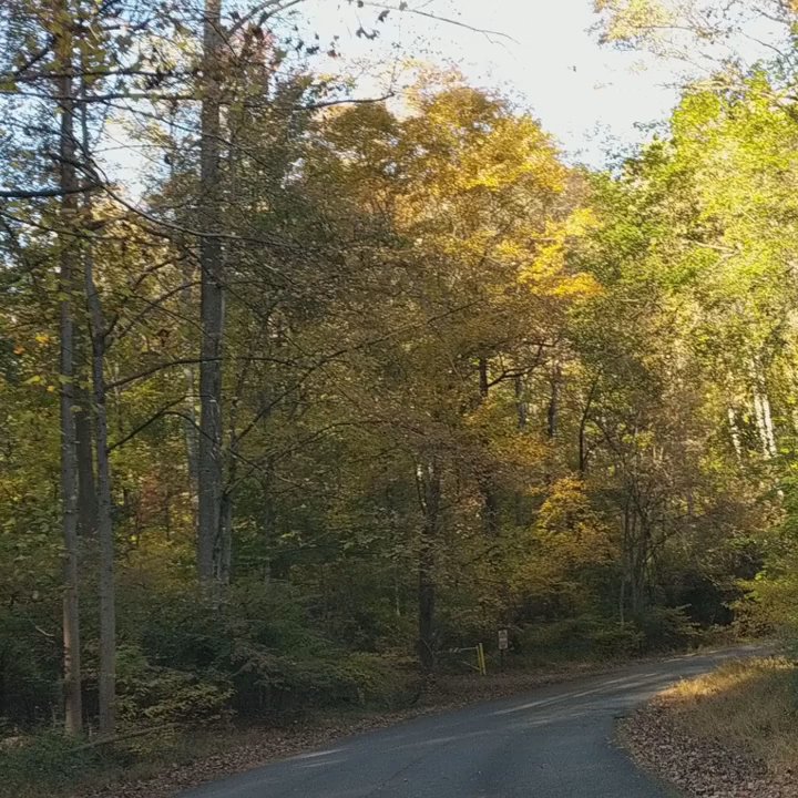 Video thumbnail 20 more videos