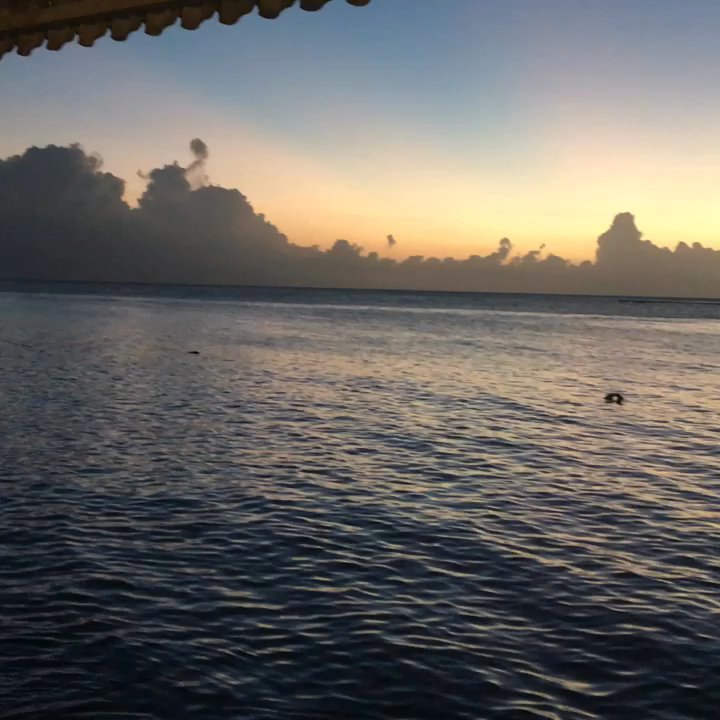 Island View Restaurant - Spanish Near Me - Cabo Rojo, Puerto Rico