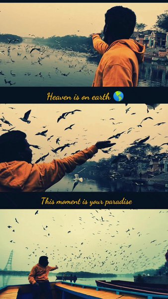 Photo of Yamuna river🐥