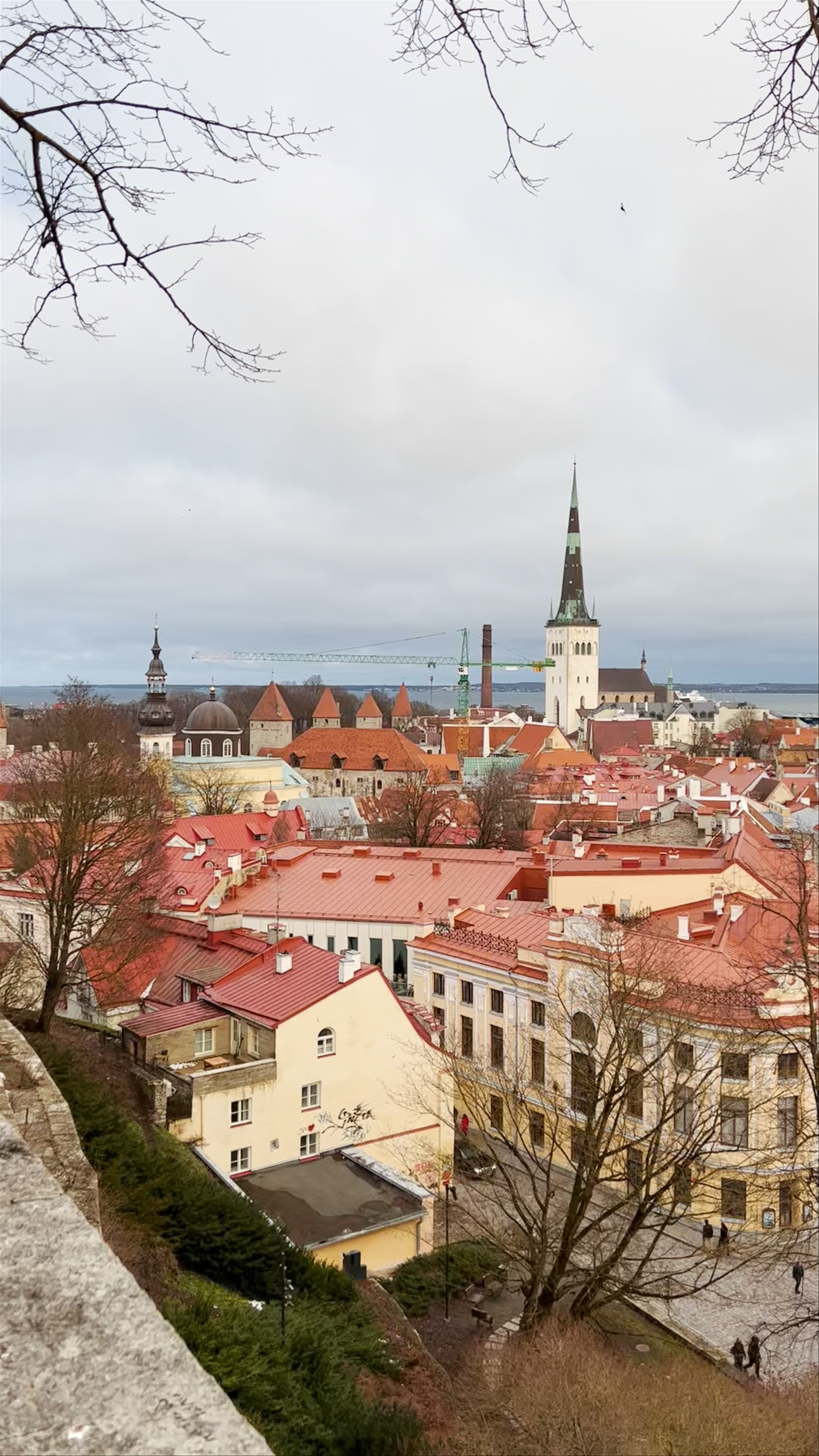Kohtuotsa viewing platform