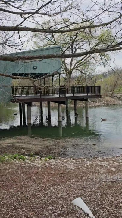 Dickerson Park Zoo - Beautiful view from the train - Zoos Near Me - Springfield, Missouri