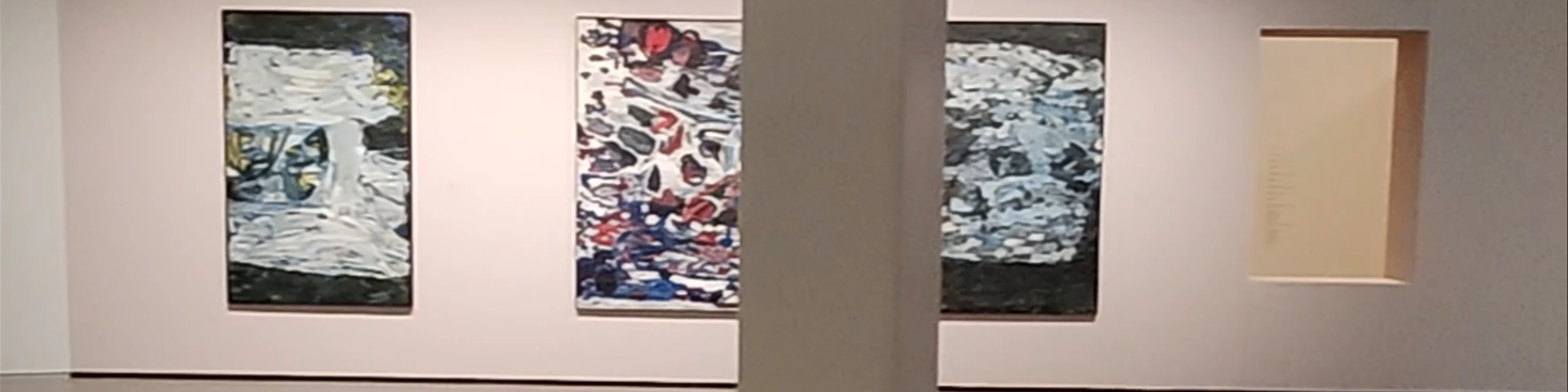 Museum Cobra