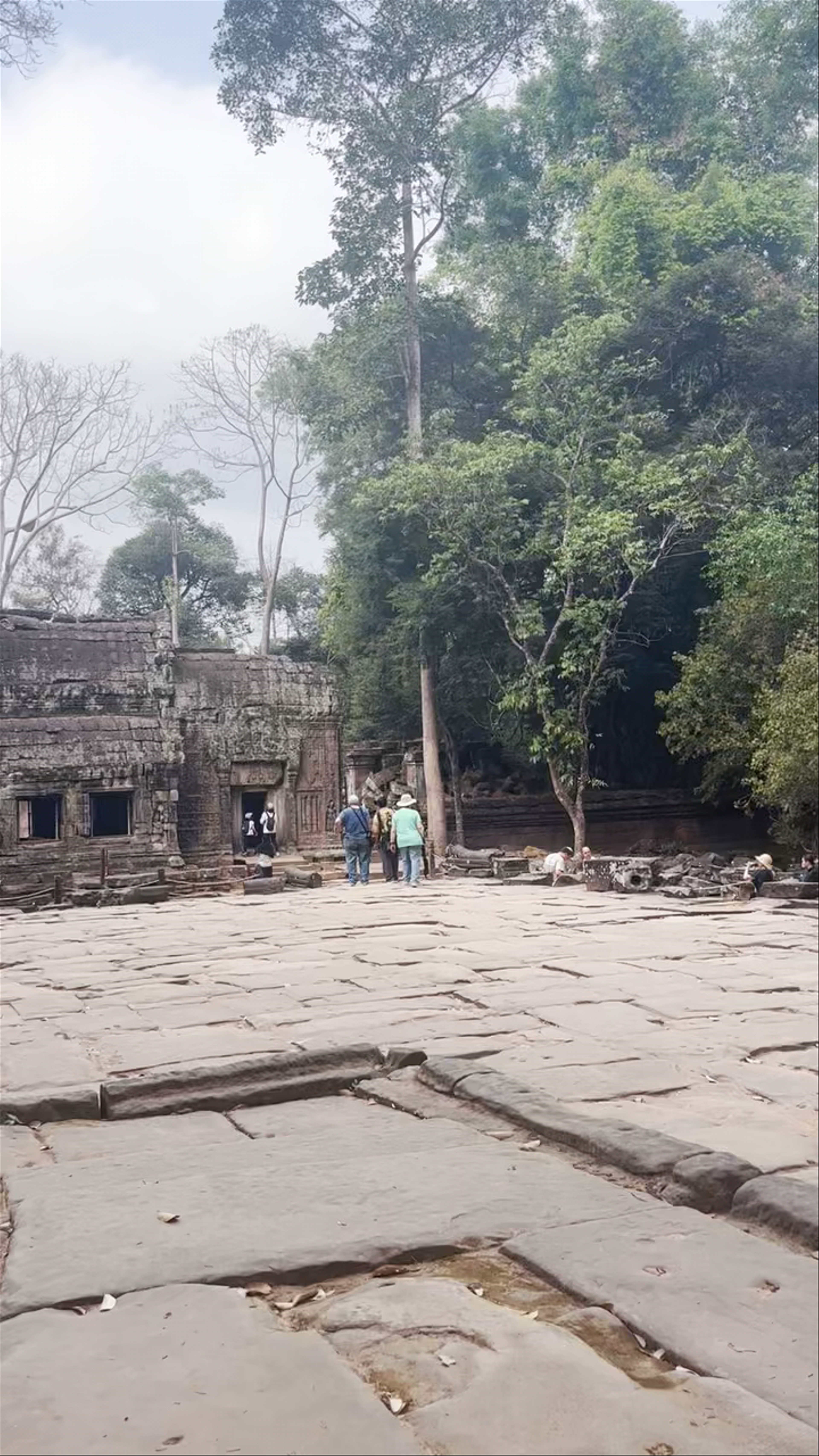 Ta Prohm