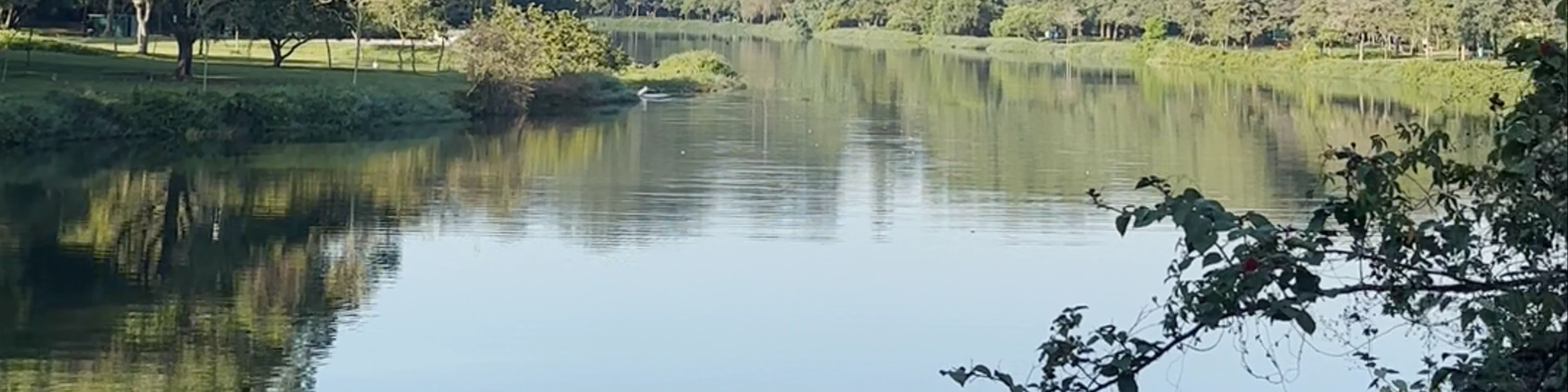 Parque Ibirapuera - Avenida Pedro Álvares Cabral - Vila Mariana