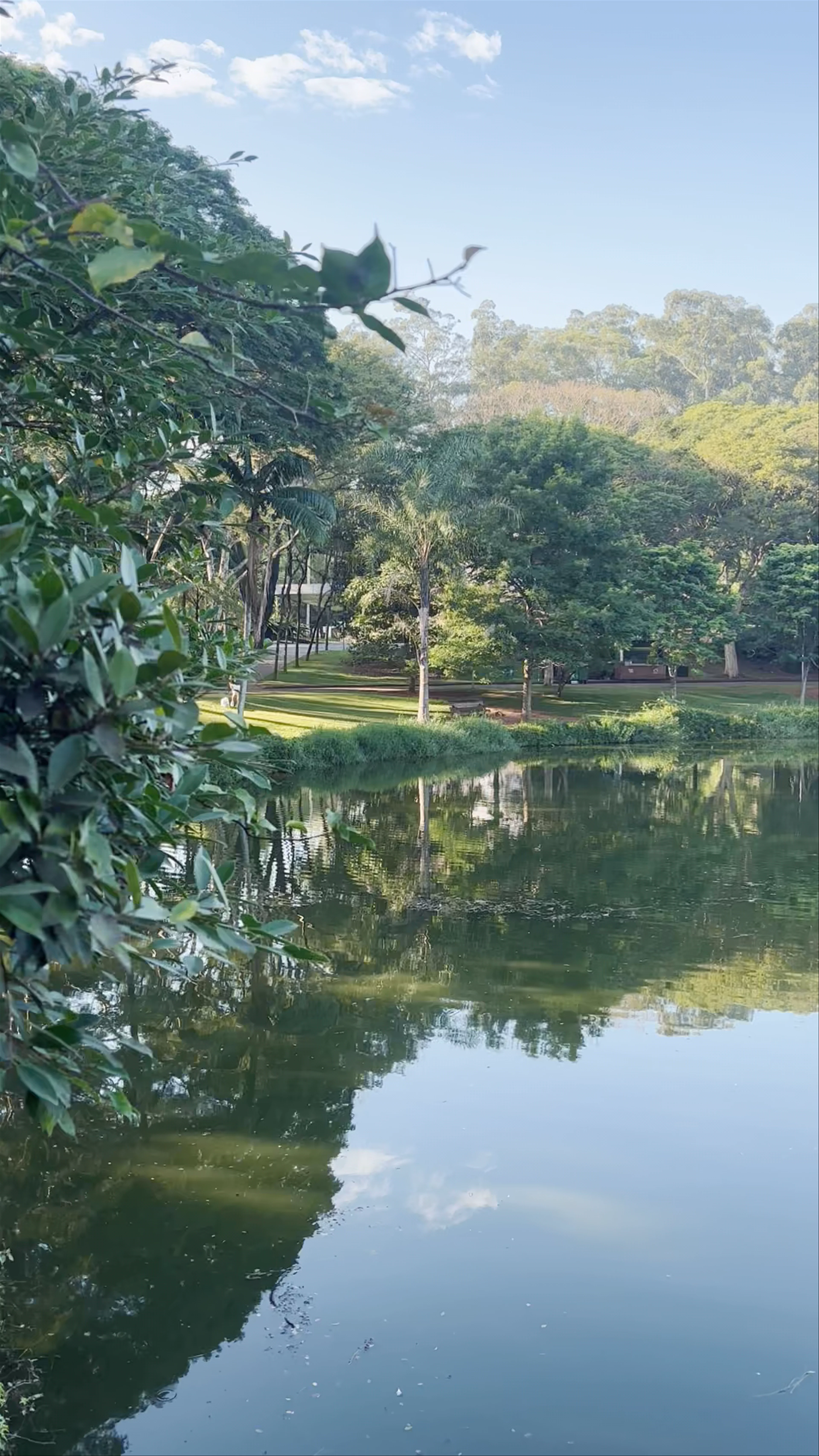 Parque Ibirapuera