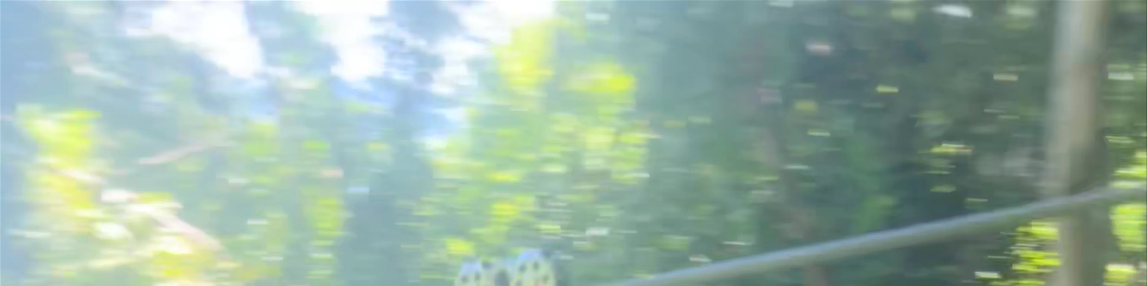 Palawan Zipline Adventure Inc.