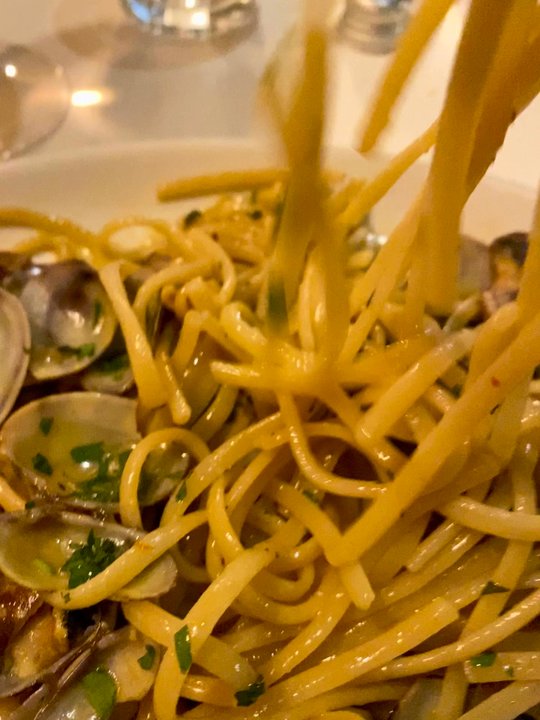 Otello alla Concordia - The greatest linguine con vongole I've had. - Roman Near Me - Rome, RM