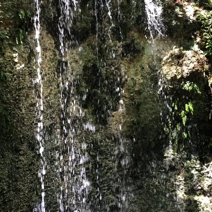 Video thumbnail 5 more videos