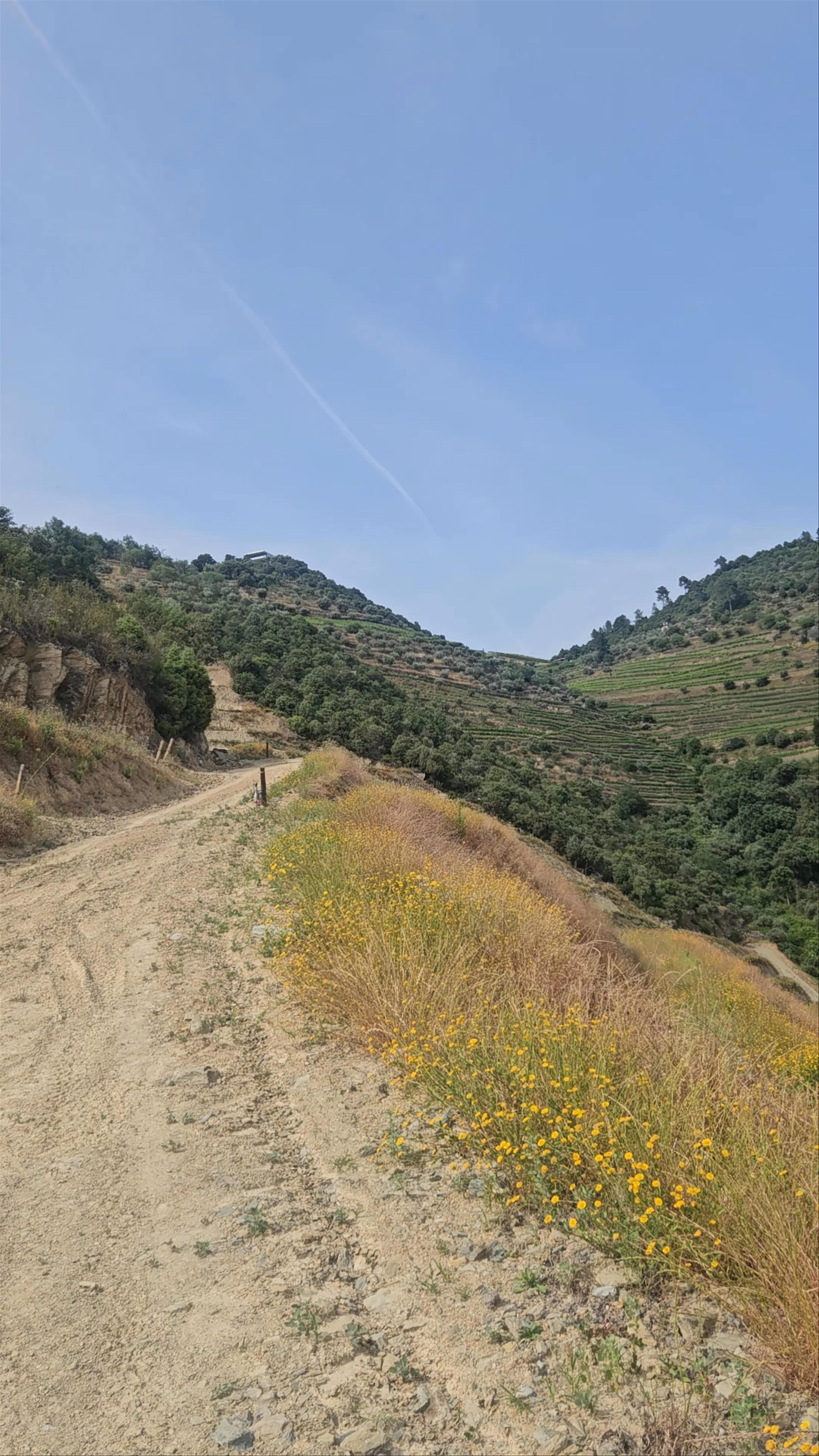 Caminho do Divino Espírito Santo