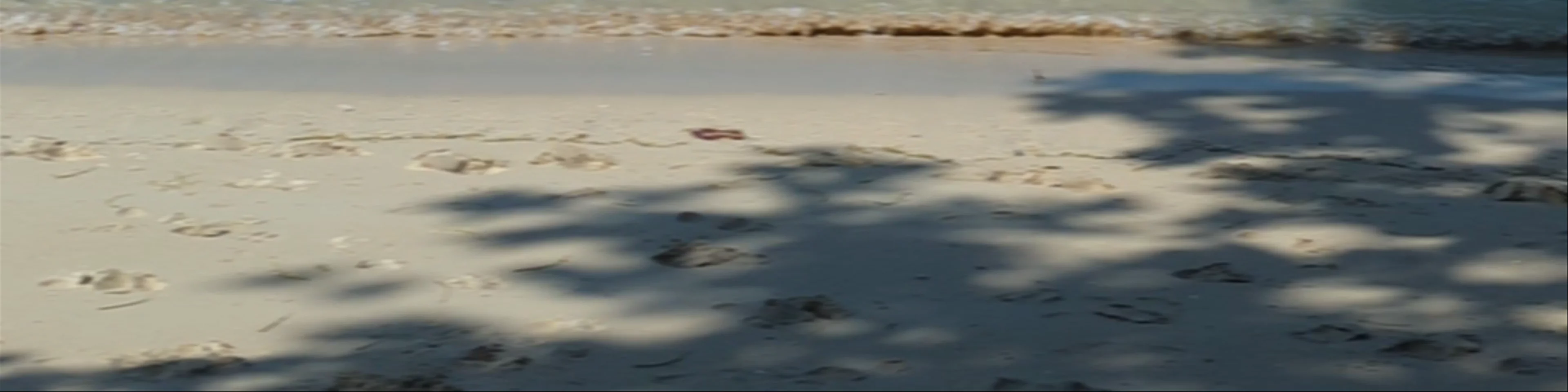 Lo Paret Beach