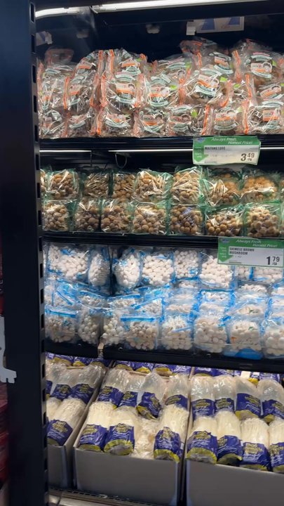H Mart - Mushrooms! - International Grocery Near Me - Westminster, Colorado