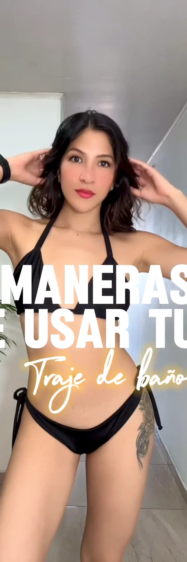 Contenido del creador