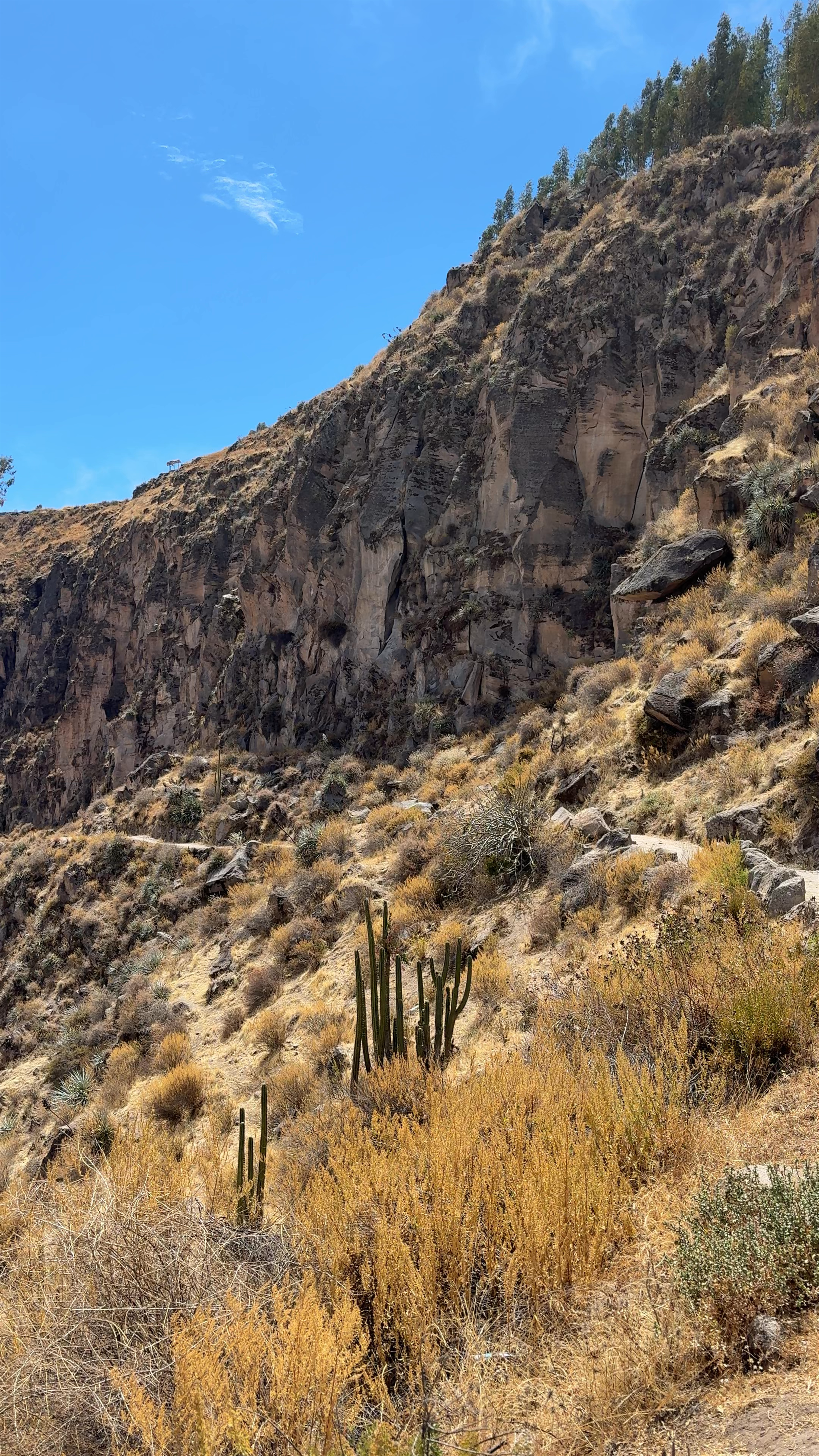 Mirador de San Miguel