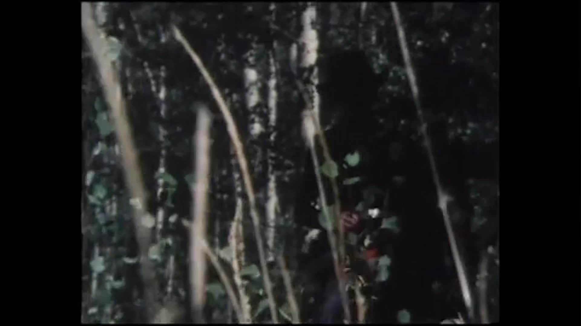 A woman in a wide-brimmed hat rides her horse through tall grass and dense woodland. Accompanied by piano music, she reflects on how important this way of life is to her.