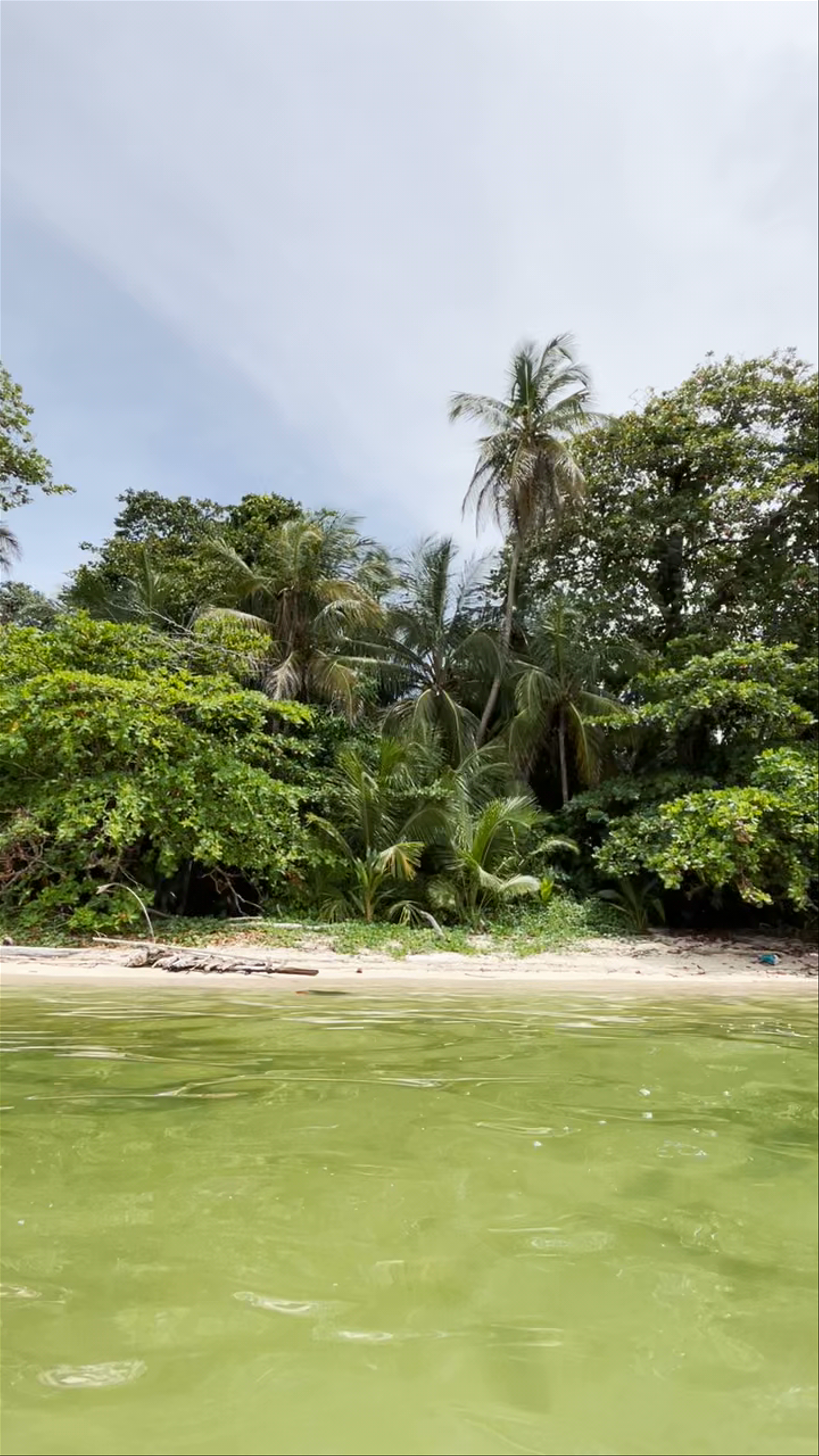 Parque Nacional Cahuita