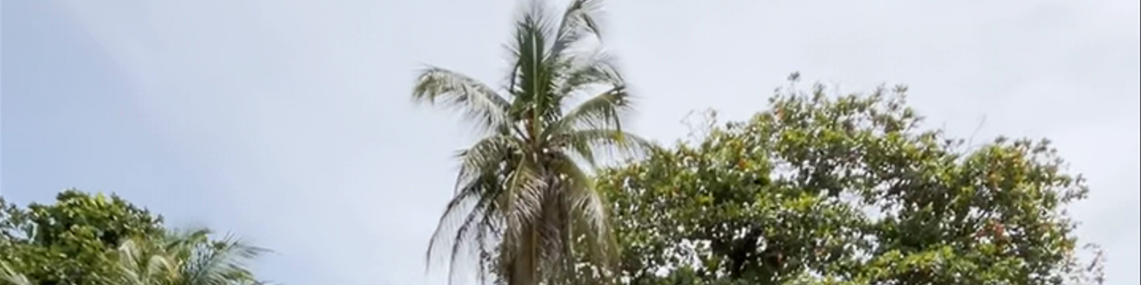 Parque Nacional Cahuita