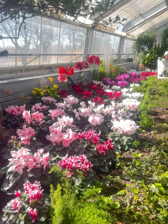 Centennial Park Conservatory - Parks Near Me - Toronto, Ontario