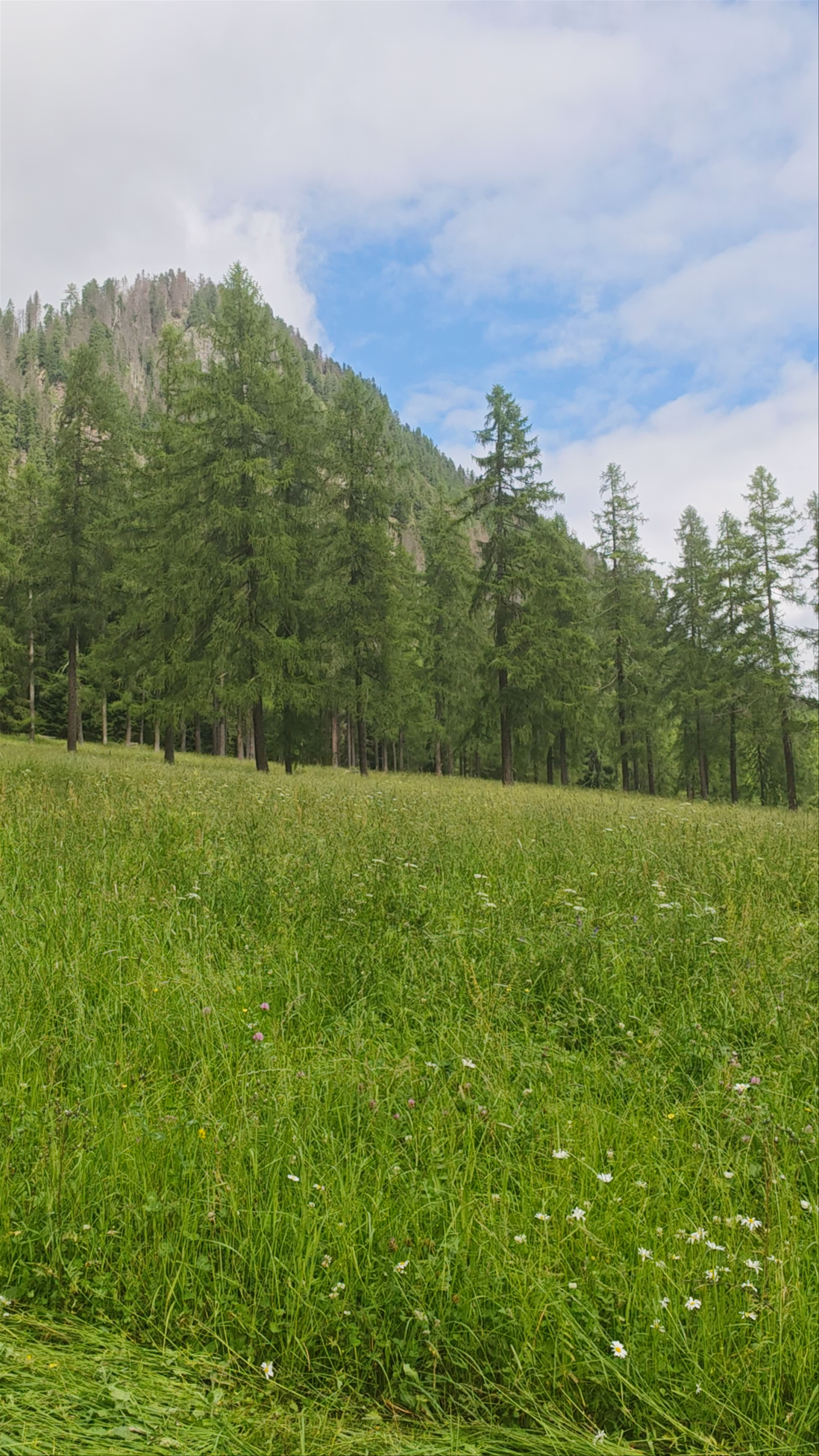 Val Fiscalina