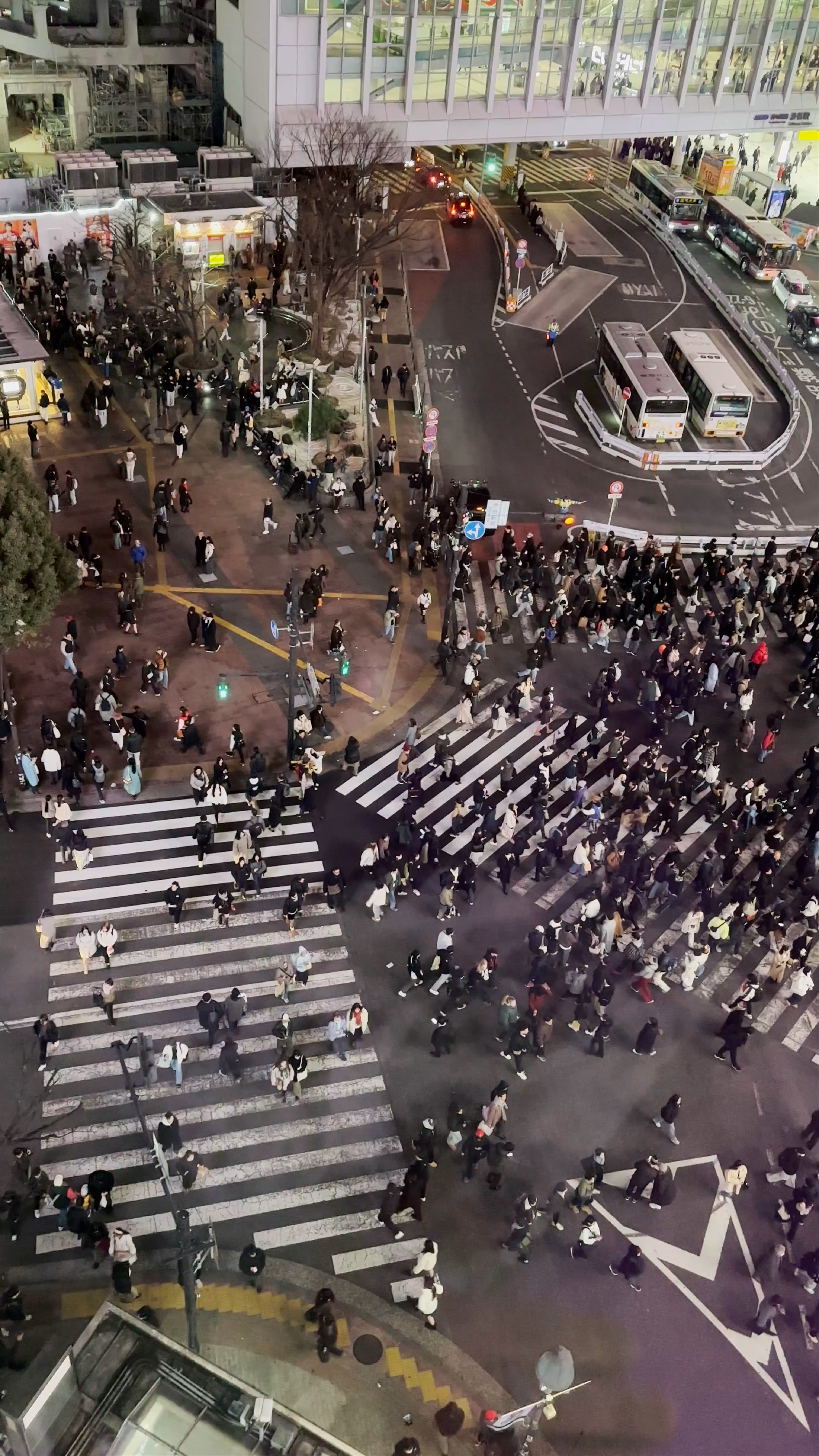 Magnet by Shibuya 109: Tokyo’s Iconic Nighttime Pedestrian Crossing