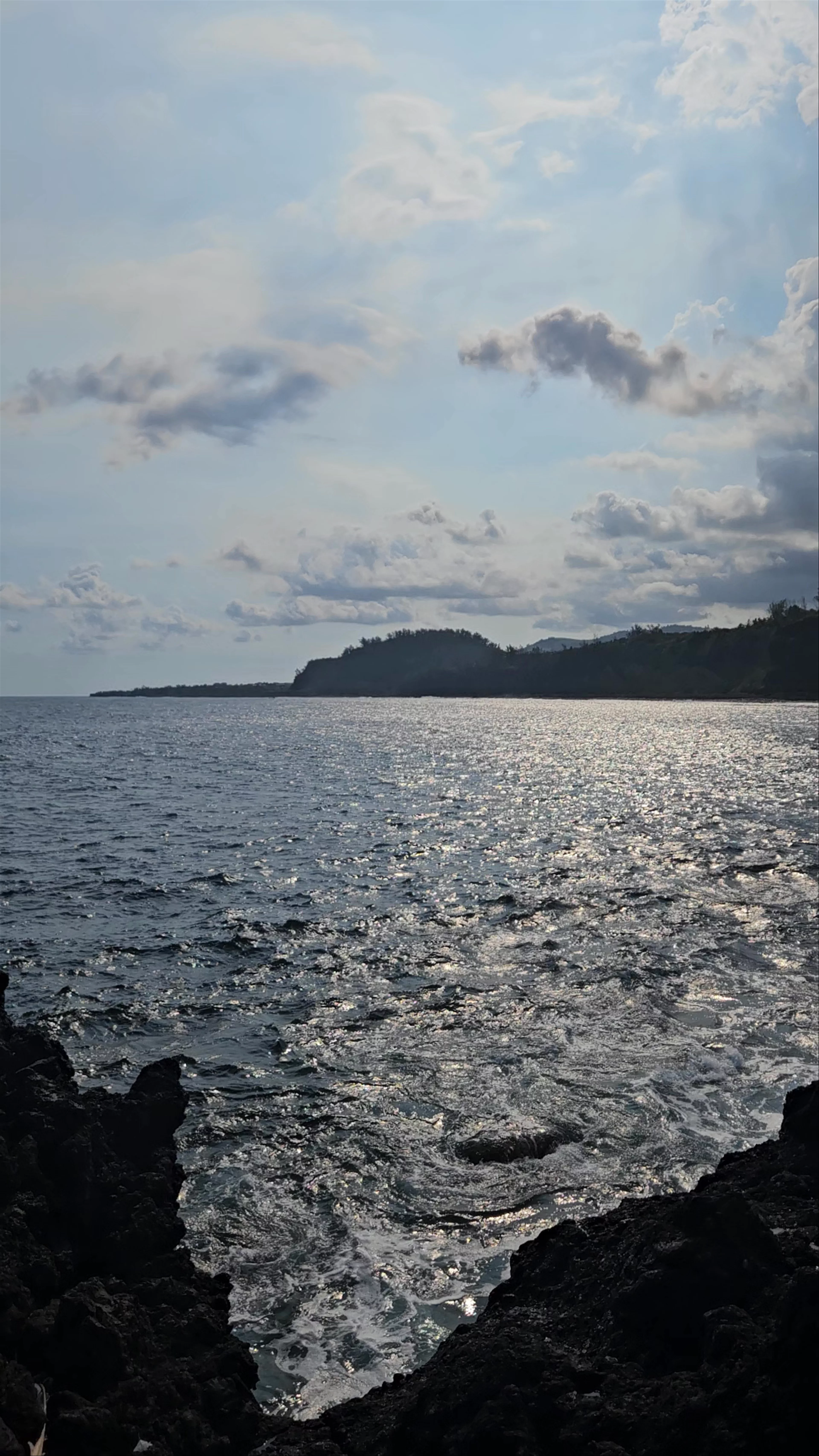 La Marine Langevin