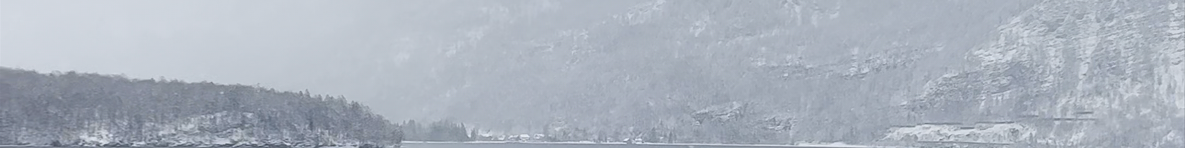 Tours & experiences in Austria