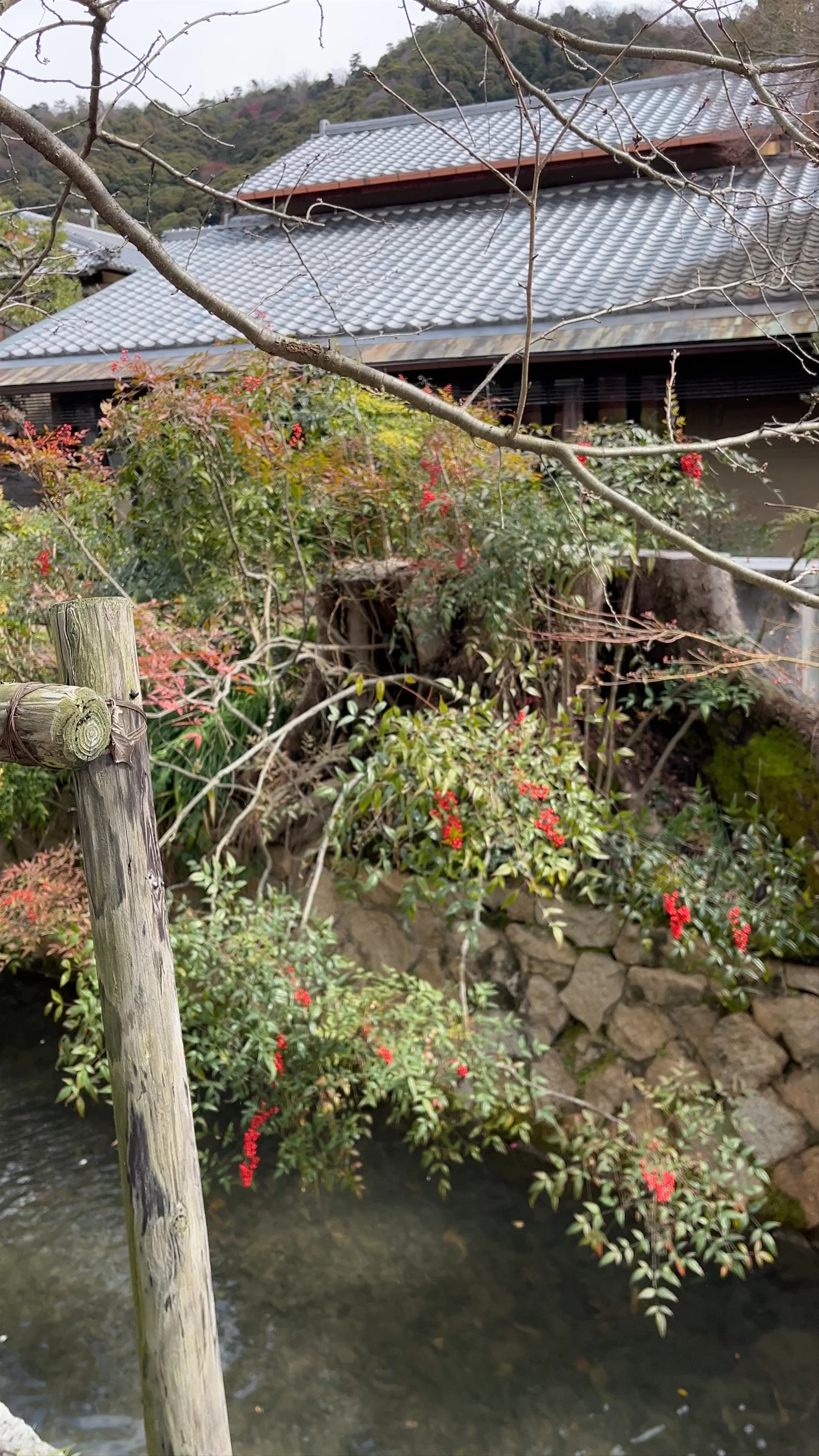 Philosopher's Path (Tetsugaku no Michi)