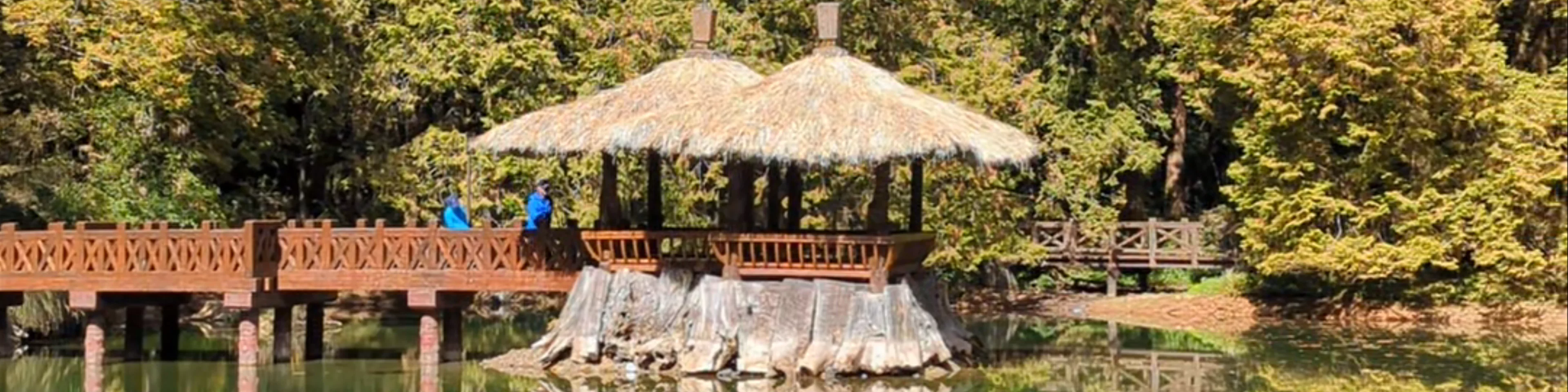 Sister Ponds