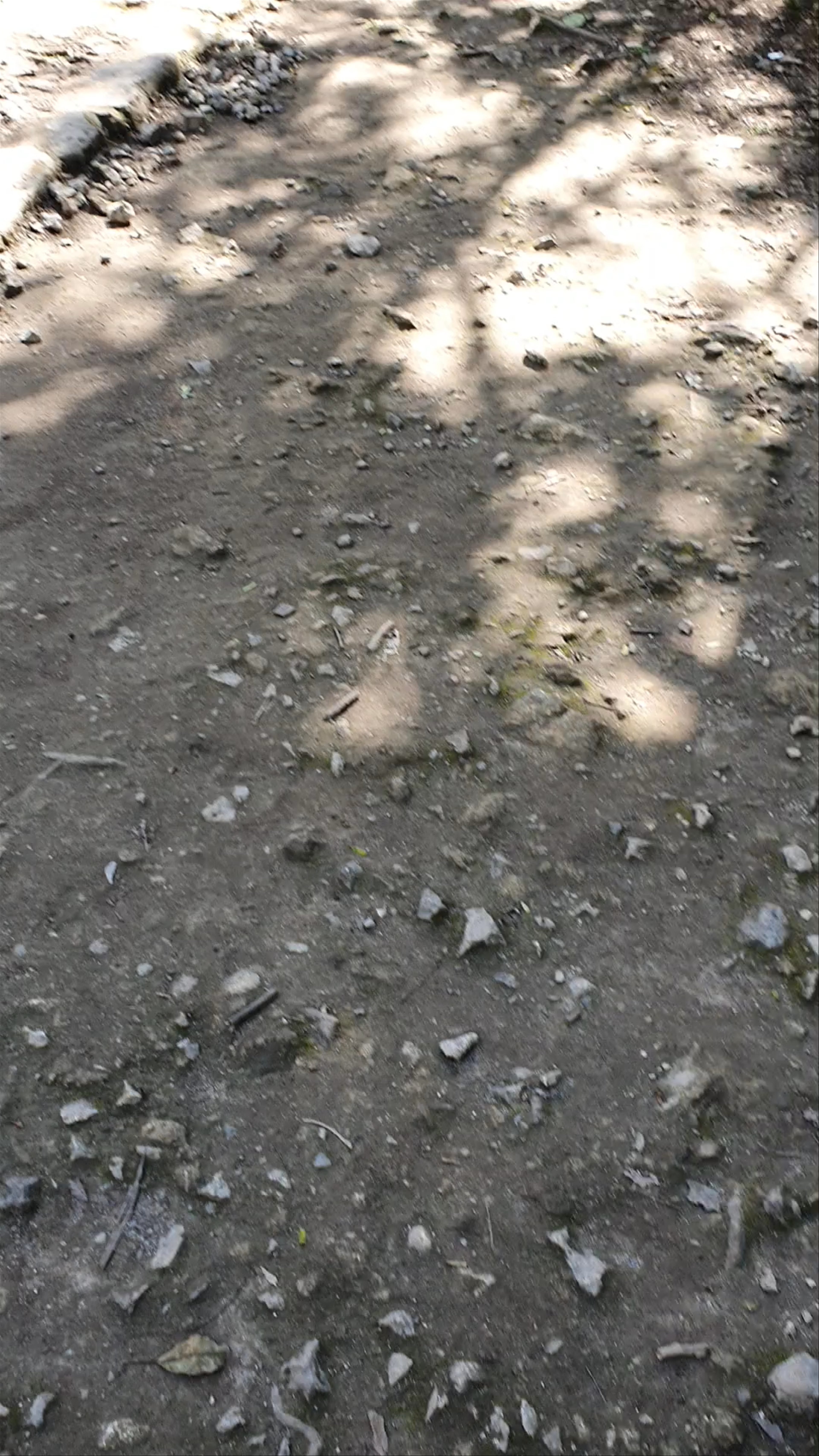 Coba archaeological site