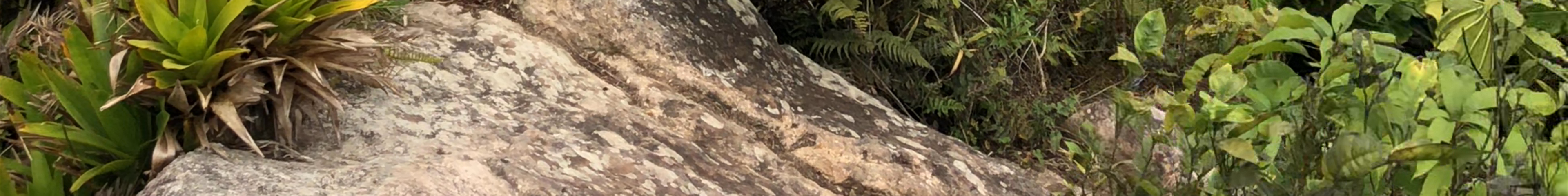 Tours & experiences in Saba
