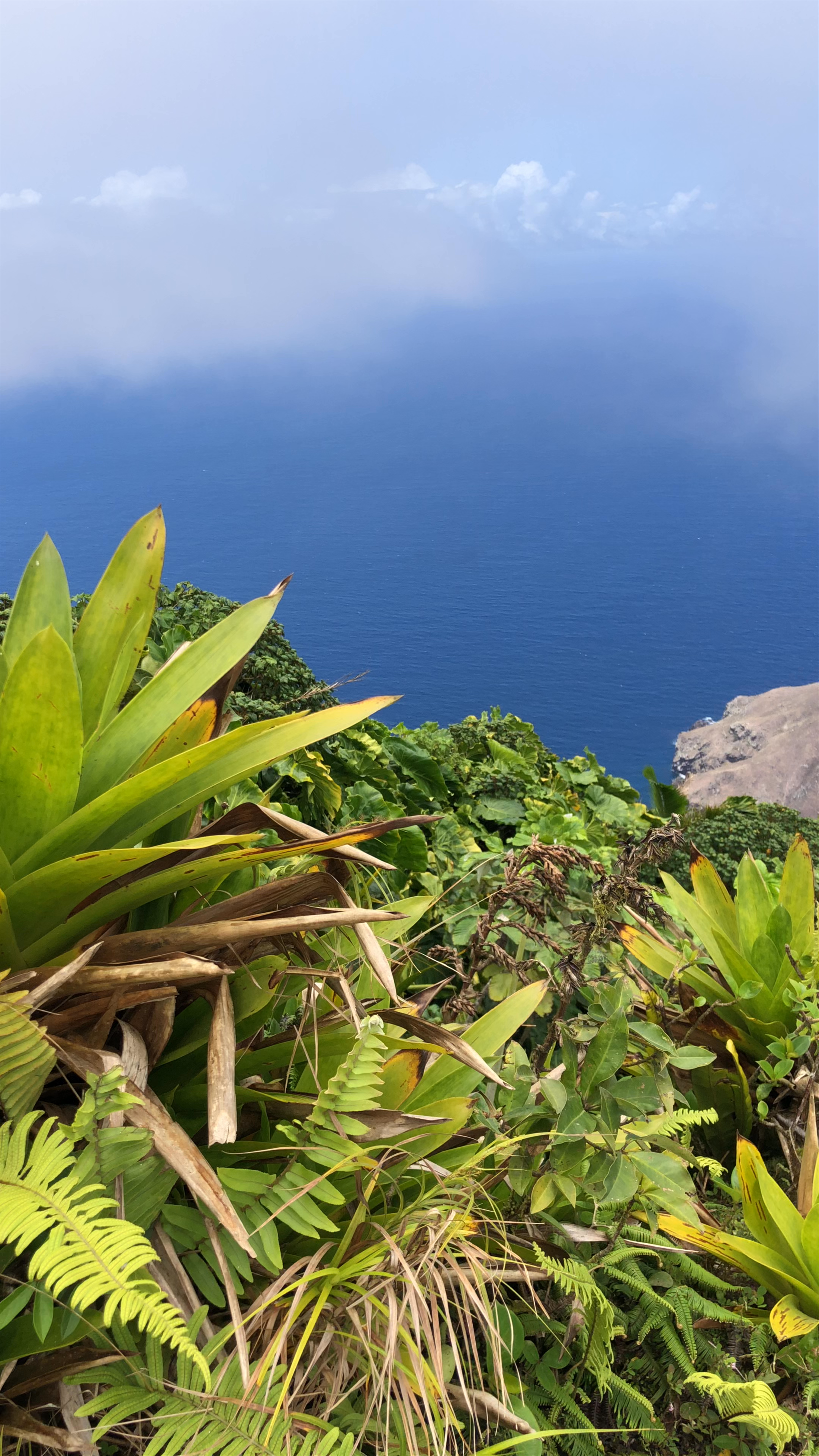 Mount Scenery, Saba