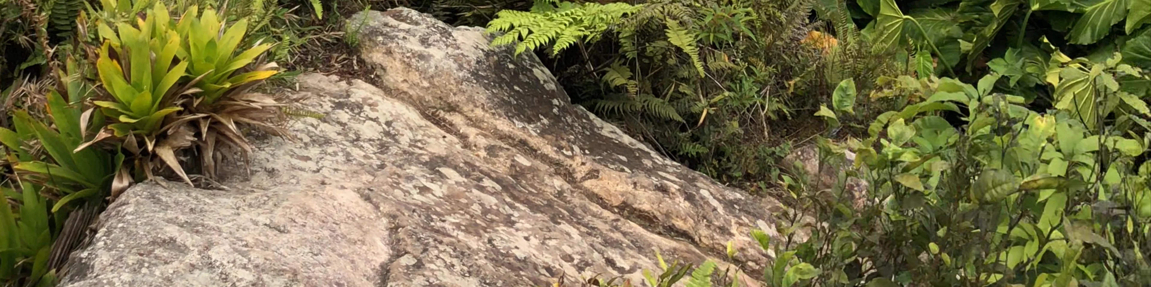 Mount Scenery, Saba