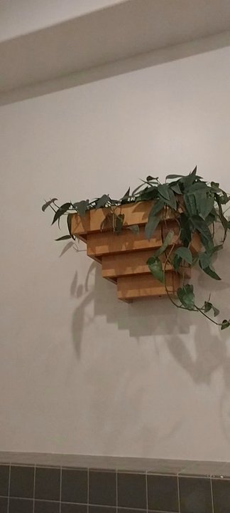 Taco Mesa - Interior on one side of their dining area. - Mexican Near Me - Anaheim, California