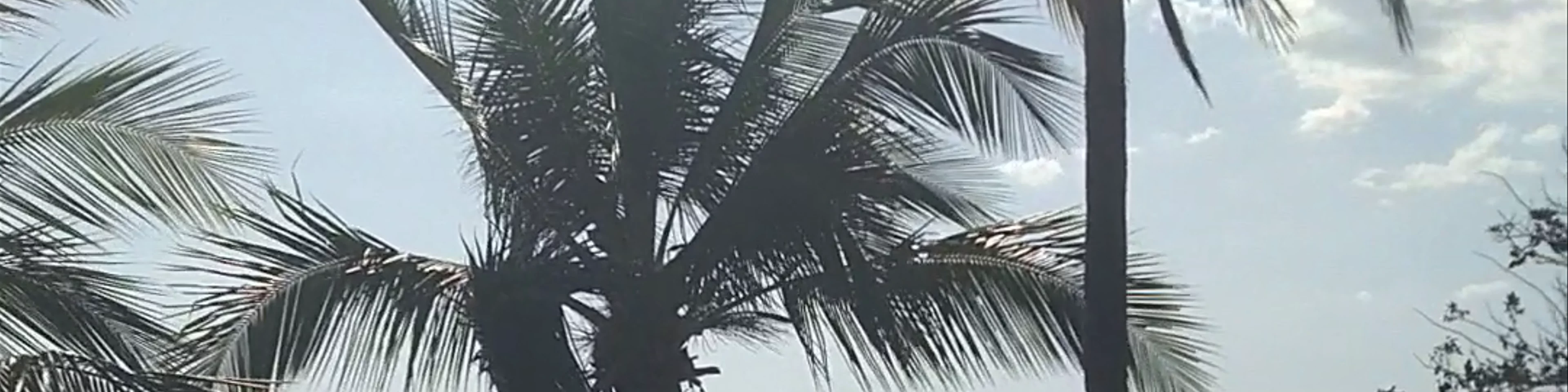 Surfers Paradise