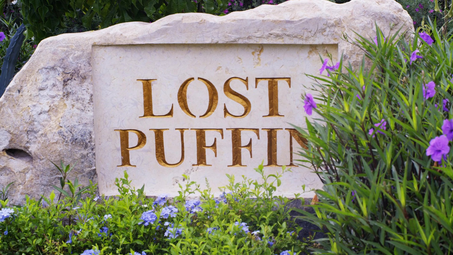 Lost Puffin