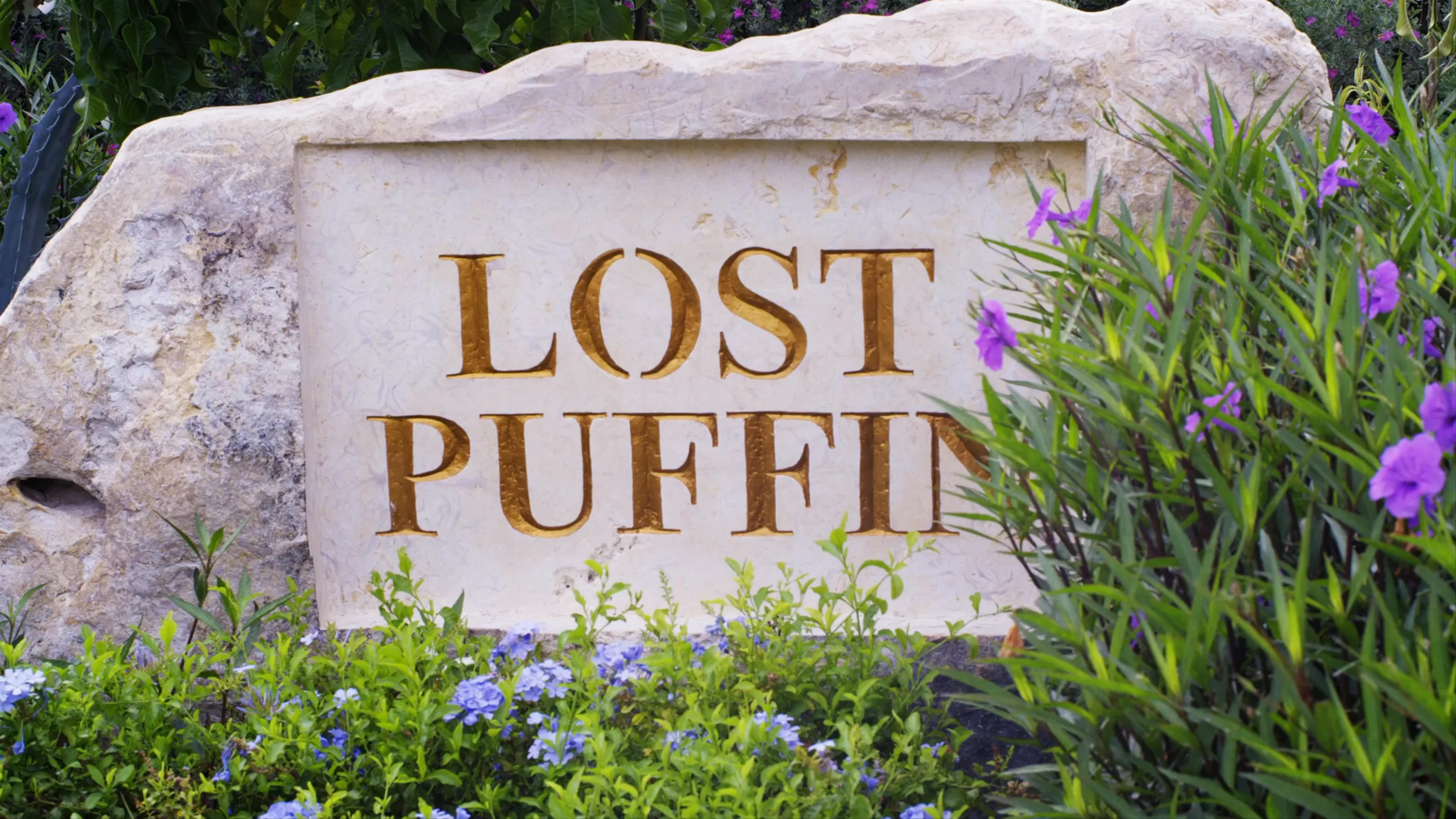 Lost Puffin