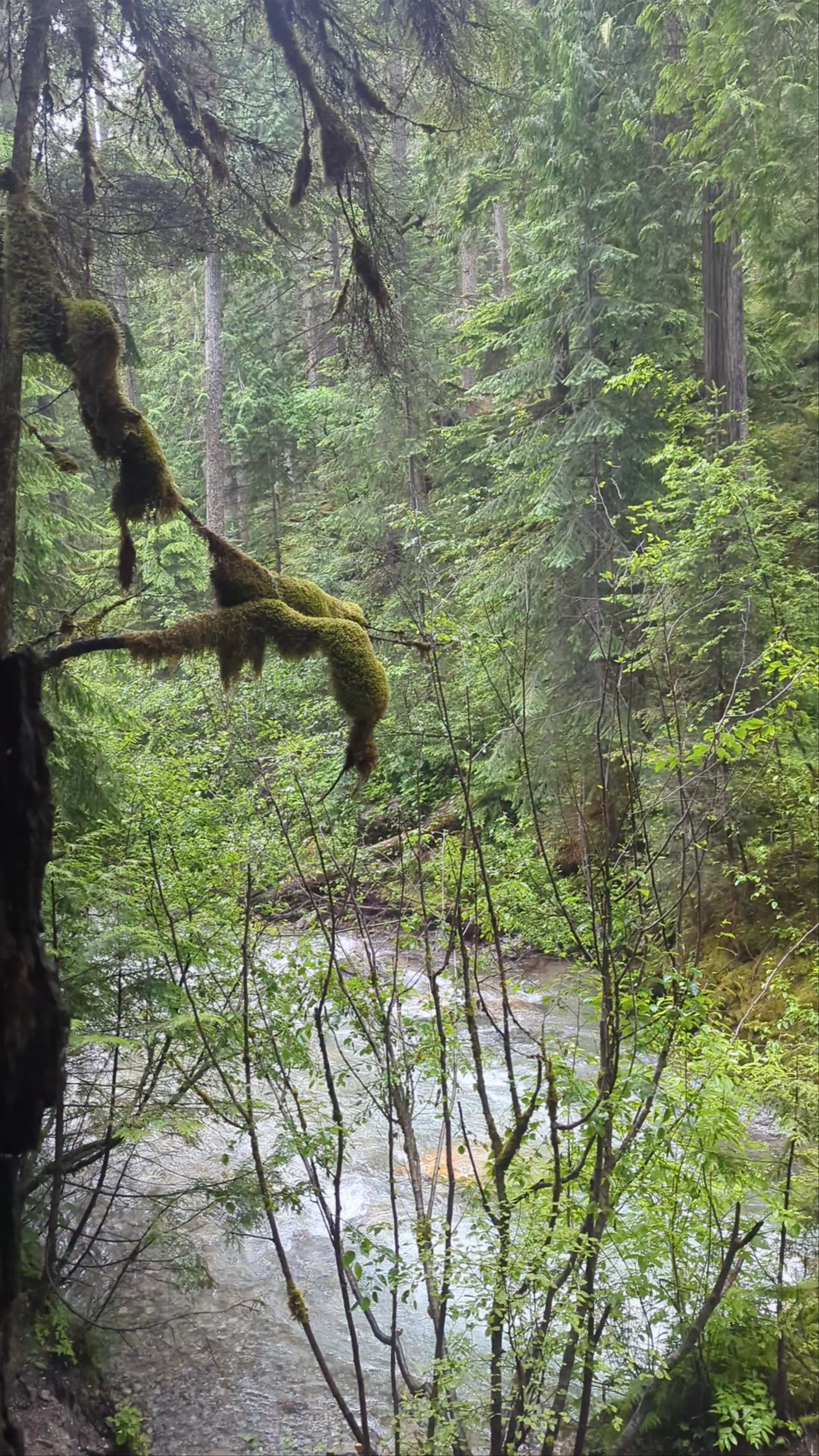 Begbie Falls Recreation Site