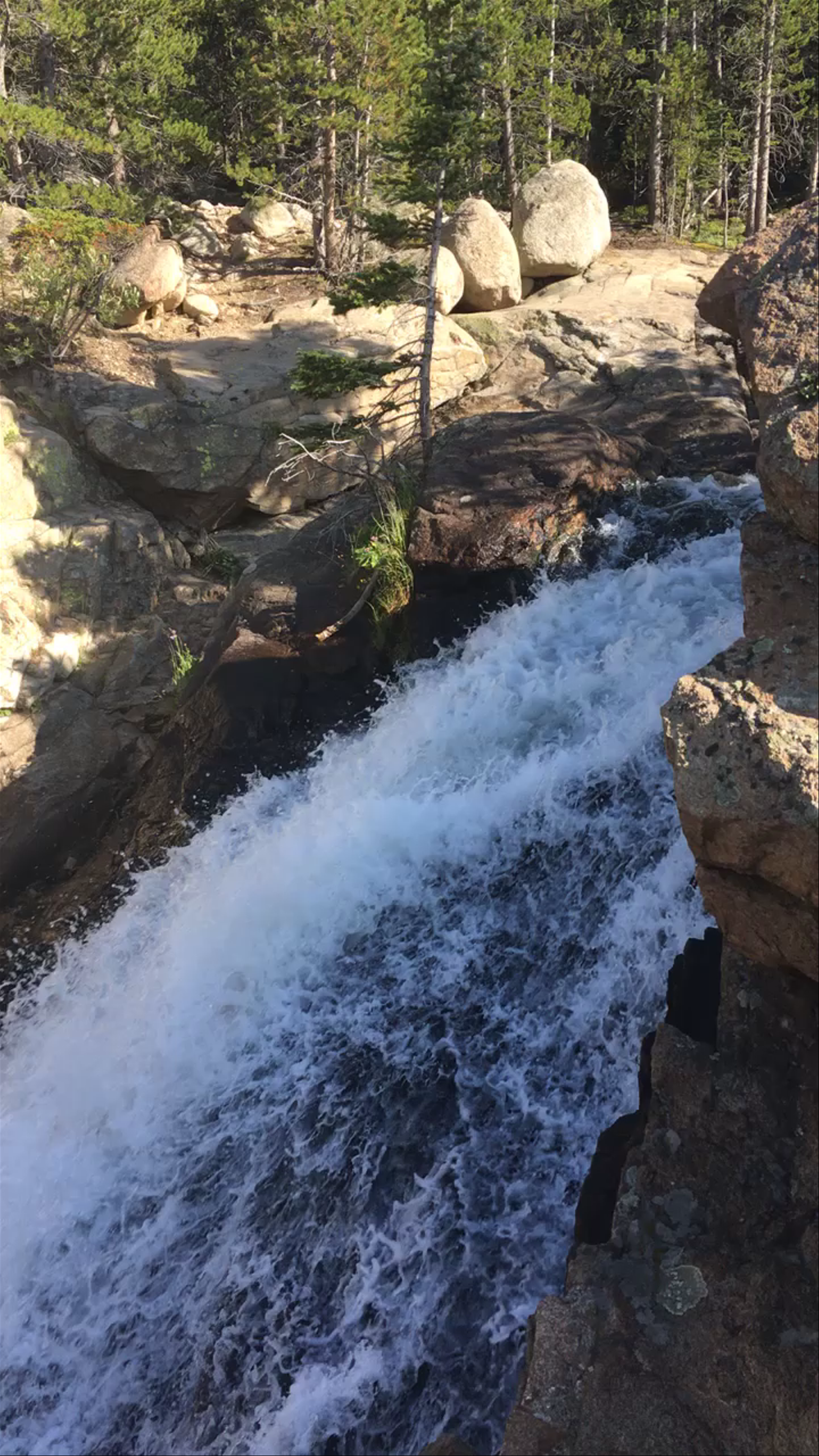 Alberta Falls: Colorado's Cascading Forest Waterfall